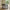Strington Sofabord i Sort Melamin & Røget Glas & Stel i Sort Stål fra Actona | B120xD60xH40cm - Billede 2
