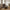 Swan Sovesofa i Brun Polyester med Natur Ben fra House Nordic | L186xB113xH83 cm