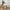Swindon bænk i hvidt bourclé med sorte ben fra House Nordic | 100x36x42,5 cm