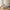 Taza 2,5 personers modulsofa i Materiale ikke angivet fra House Nordic | 98x100x82cm