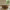 Vega Sofabord i Latte Marmor fra Actona | B90xD90xH42cm - Billede 2