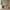Vega Sofabord i Latte Marmor med V-formet Stel fra Actona | B140xD70xH42cm - Billede 2