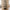 Vita reol, 5 hylder, sort med sort stel fra House Nordic