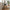 Vojens skrivebord i Massiv Gummitræ fra House Nordic | H75 x120 x60 cm