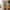 X-shelf Reol i Olieret Egetræ fra Unique Furniture | B70xH87xD30cm