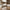 Elk Lounge Lænestol i Sand Polyester &amp; Ben i Hvidpigmenteret Egetræ fra Unique Furniture | D71xB68.5xH76 cm