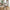 Amorim Spisebordsstole i Hvid bouclé med sort drejefod fra House Nordic