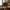 Anzio Spisebordsstol i Sort/Natur fra House Nordic | 57x60x83cm