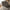 Avola Lænestol i Grafit Polyester med Drejefod i Sort fra Unique Furniture | B59xD65xH89 cm