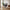 Avola Lænestol i Grafit Polyester med Drejefunktion &amp; Ben i Sort Metal fra Unique Furniture | B59xD65xH89 cm