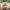 Bali Sofabord Sæt af 2 i Naturolieret 100% Massiv Egetræ fra Lexpo Living | 70x50x36 & 90x60x44 cm - Billede 3