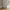 Basic Reol med 2 Hylder i Flere Farver fra Tvilum | B40,6xD26,72xH107,2cm - Billede 3