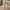 Belmont Spisebordsstol i Sand fra House Nordic | 57x61x79cm