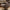 Blenheim Loungestol i Brun fra House Nordic | 76x87.5x90cm