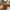 Boavista Sofabord i MDF med Træ look Fra House Nordic | ø80x45 cm