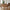 Boca Banan Bænk i Massiv Teaktræ fra House Nordic | 60x150x85