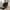 Buffalo Spisebordsstol i Stof med Sort Stål Stel fra Unique Furniture | B49,5xH82,5xD65cm