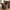 Caor kurve i naturflet fra House Nordic | ø20-30-40-50x28-38-48-58cm