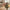 Dahlia Buket i Mix Farvet Plastik fra House Nordic | L30xB25xH68 cm