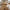 Darwin Spisebord i Natur fra House Nordic | 100x240-290-340x75cm