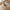 Dokka Spisebordsstol i Sand med Sorte Ben fra House Nordic | L57.5xB52xH87.5cm