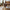Dover Spisebordsstol i Brun fra House Nordic | 58x61x83cm