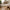 Dover Spisebordsstol i Natur fra House Nordic | 58x61x83cm