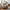 Galena Plaid i Beige imiteret pels Fra House Nordic | 130x180 cm