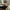 Gila Sofabord i Vild Eg Melamin & Stel i Sort Stål fra Actona | B120xD60xH42cm - Billede 3