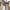 Harbo Spisebordsstol i Stone med Sorte Ben fra House Nordic | L65xB57xH87cm
