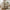 Hawkes Loungestol i Sand fra House Nordic | 90x92x75cm