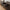 Kyoto Skænk i Røget Egefiner med 3 Skuffer og 2 Låger Fra House Nordic | 150x40x74 cm