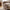 Lammeskind i imiteret lysebrun/Mushroom Fra House Nordic | 60x180