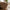 Lammeskind i Lysebrun fra House Nordic | 50x85x5cm