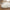 Lammeskindshynde i imiteret hvid polyester Fra House Nordic | 60x180