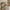 Lanciano Vægreol i Beige Metal fra House Nordic | BDH 48x18x64 cm - Billede 3