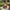 Larisa Havestol i Naturflet Fra House Nordic + Gratis Hynde 56x64x88 cm