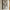 Lipari Lærredsprint i Sort/beige Fra House Nordic | 60x90 cm - No.2 - Billede 3