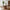 Lorca Spisebord i Teak fra House Nordic | Ø120xH75cm