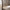 Manzano Spisebordsstol i Taupe fra House Nordic | 49x56x81cm