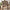 Manzano Spisebordsstol i Taupe fra House Nordic | 56x56x81cm
