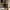Maze Reol i Flere Farver fra Tvilum | B80xD29,5xH173,5cm - Billede 3