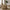 Messina Loungestol i Lysebrun fra House Nordic | 85x87x81cm