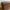 Miljøbillede af Tyr TV-bord Stor i Massiv Egetræ, Tabacco (B200xD50xH52cm) indrettet i stuen fra UniqueBeds Home and Living
