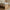 Naia Seng 140x190 i Flere Farver fra Tvilum | B146xD196,6xH80cm - Billede 3