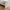 Naia Seng 180x200 i Flere Farver fra Tvilum | B186xD206,6xH80cm - Billede 3