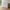 Next dobbelt kommode 6 skuffer fra Tvilum – model 50306 | B157,1xD48,1xH83,8cm - Billede 3