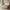 Next seng 160x200 med lameller fra Tvilum | B170,8xD225xH92,7cm - Billede 3