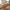 Nikko Konsolbord i Natur fra House Nordic | L100xB30xH80 cm