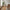 Otero Spisebordsstol med Armlæn Fra House Nordic | Teaktræ
